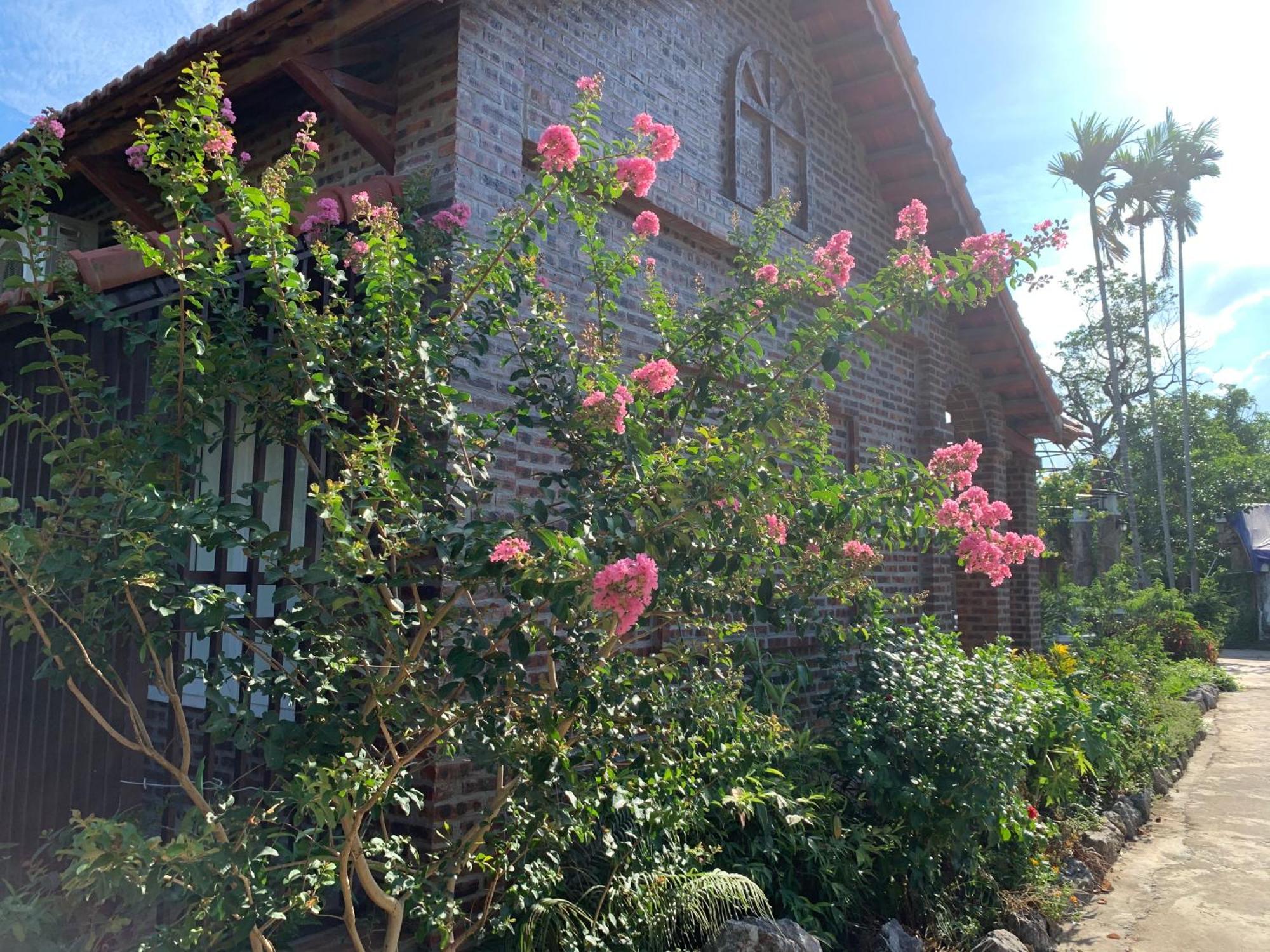 Dinh Gia Home Villa & Resort Ninh Binh Zewnętrze zdjęcie